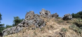 Tihany