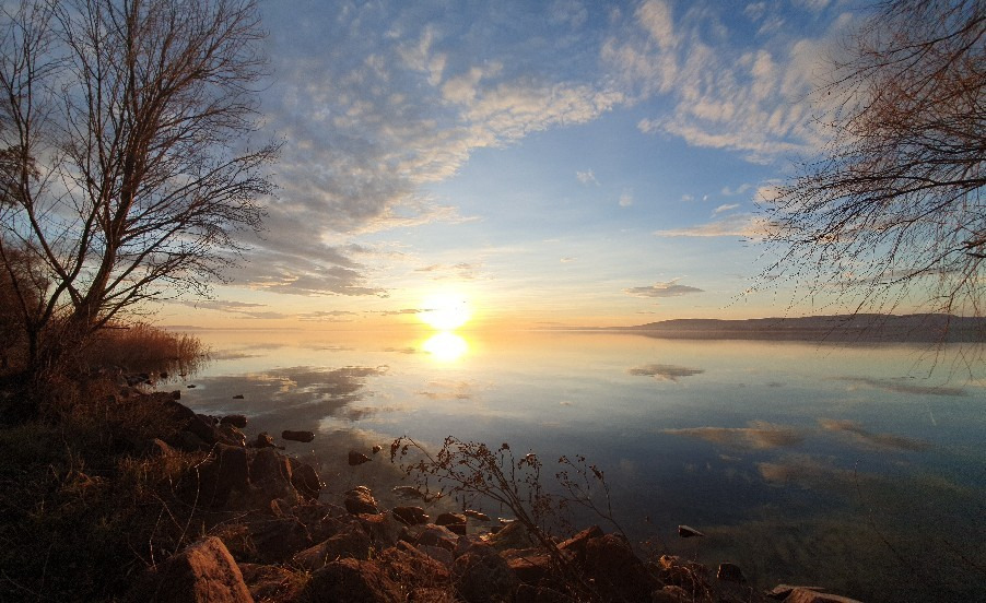 Balatonszőlős