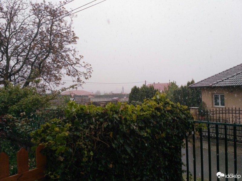 Észlelési fényképek