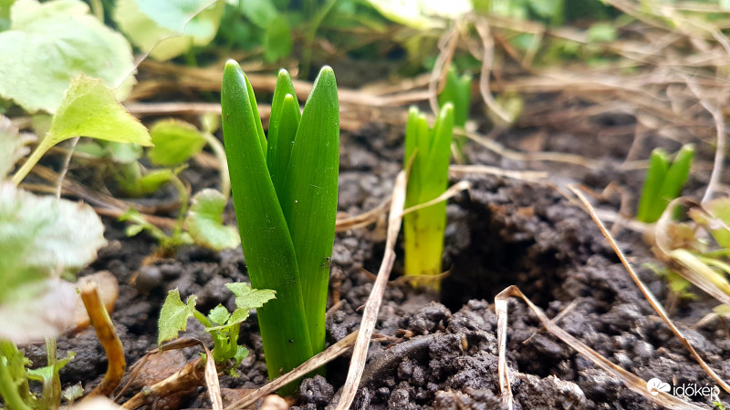 Évszakot tévesztettek :)