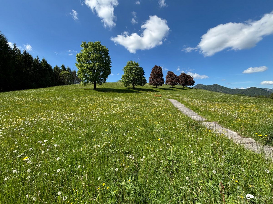 Mariazell