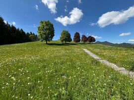 Mariazell