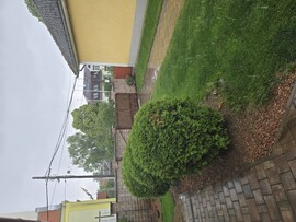 Szajol
