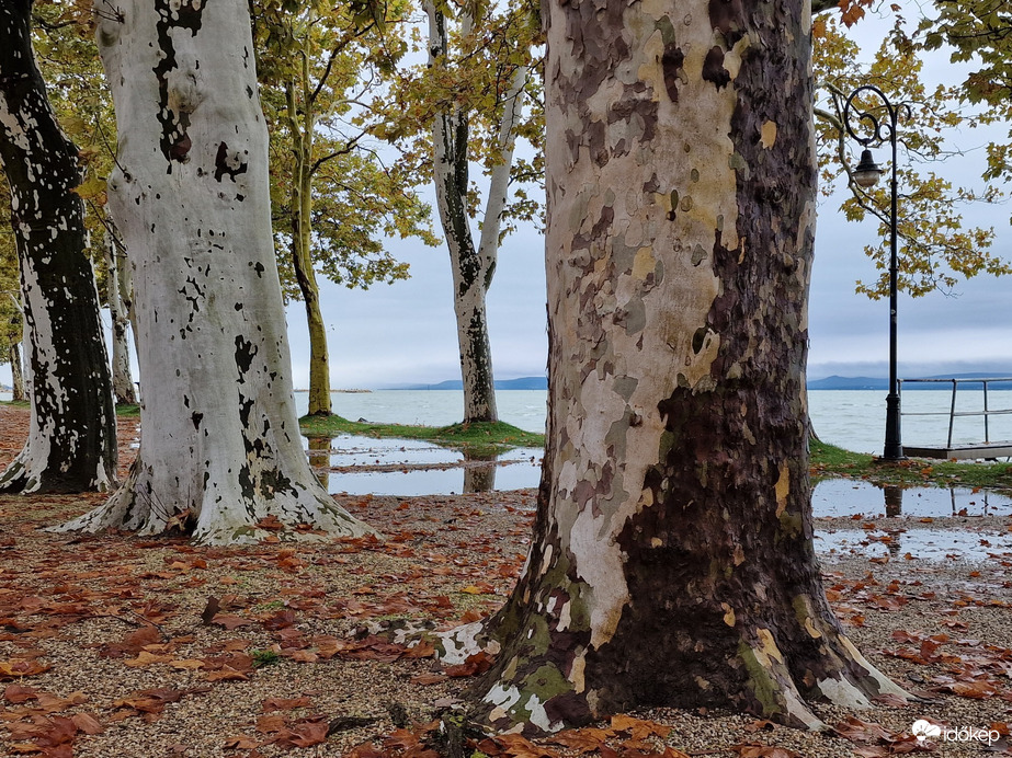 Balatonföldvár