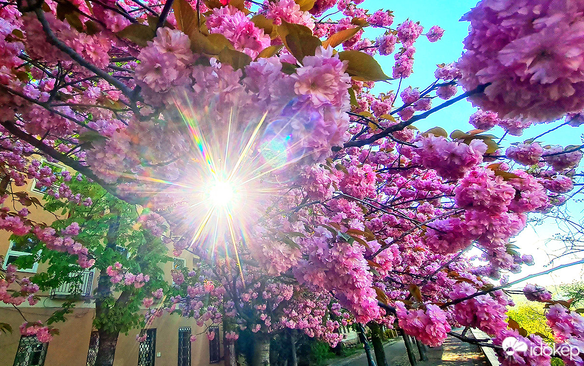Budapest I.ker - Vár
