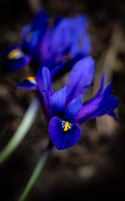 Budapest XI.ker - BME