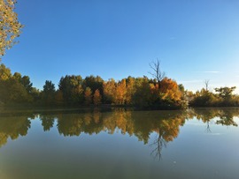 Ősz a tónál