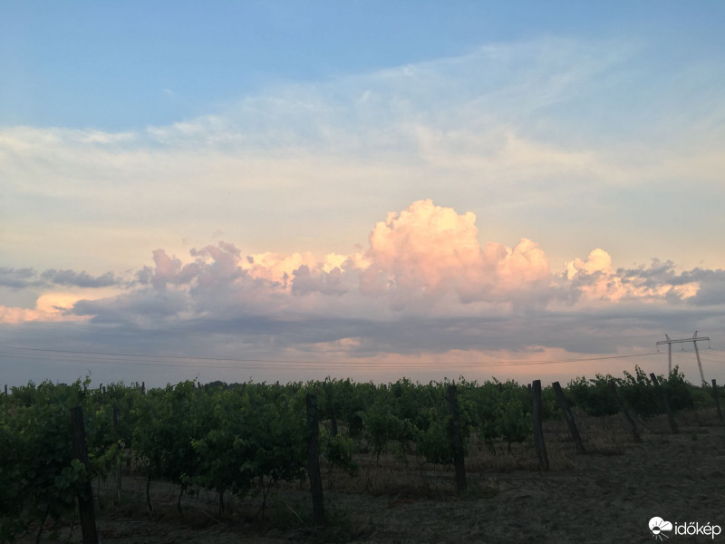 Észlelési fényképek