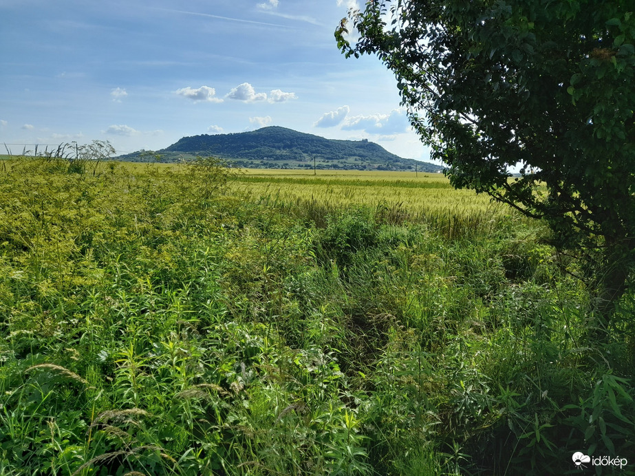 Bakonypölöske