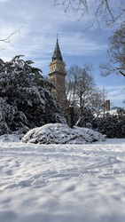 robertobaggio fotója