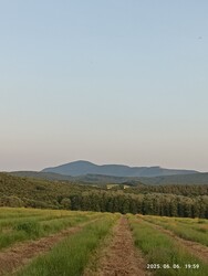 Nógrád