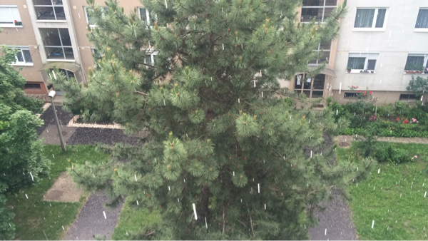 Észlelési fényképek