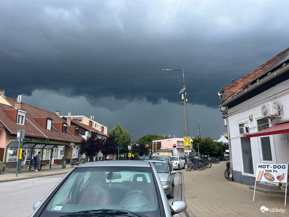 Polgár