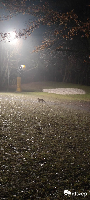 Észlelési fényképek