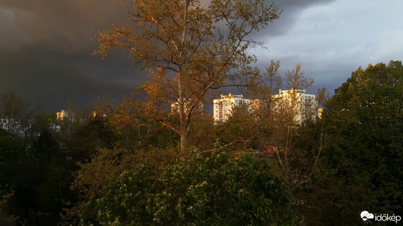 Észlelési fényképek