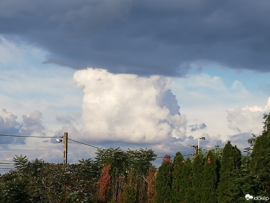 Észlelési fényképek