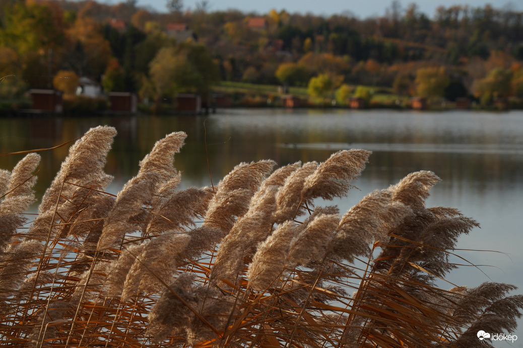 Bene hegyi tó, Csepreg
