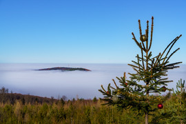 Kis karácsonyi idill a Kőszegi hegy tetejéről, alább ködpaplanba burkolózik a táj.