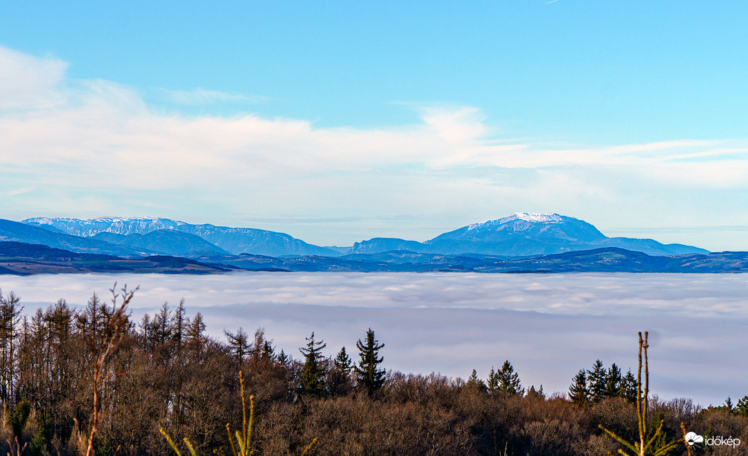 rolandpinteer fotója