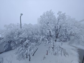 Pécs