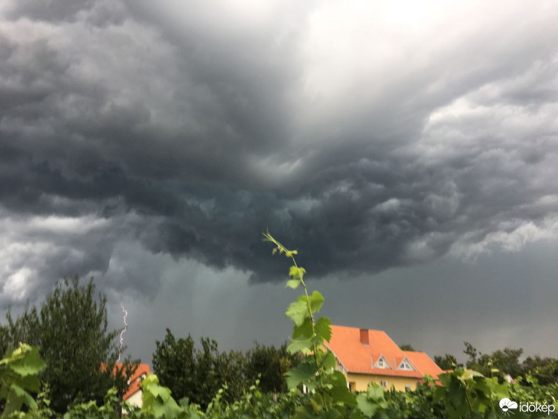 Észlelési fényképek