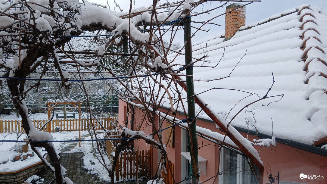 Észlelési fényképek