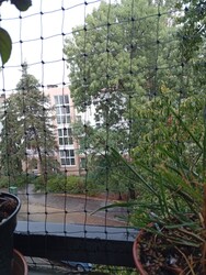 Budapest XII.ker - Sas-hegy