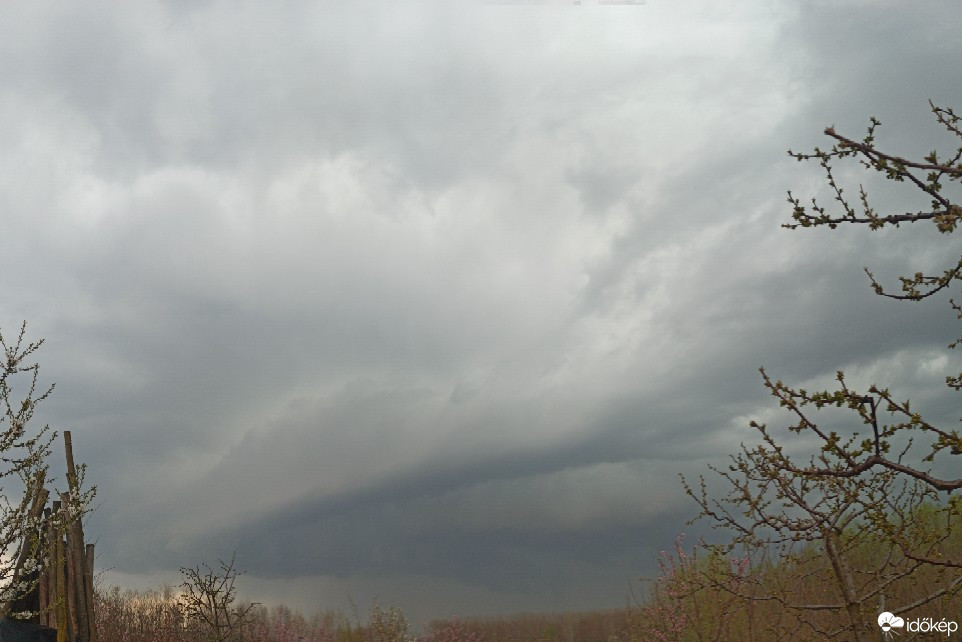 Észlelési fényképek