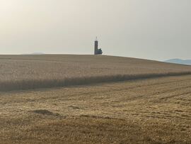 Balatonkenese