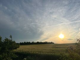 Balatonkenese