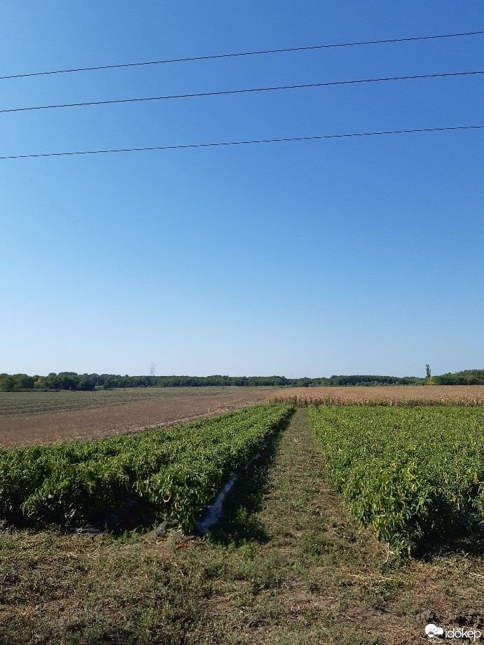 Felsőlajos