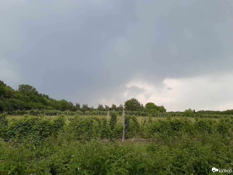 Felsőlajos