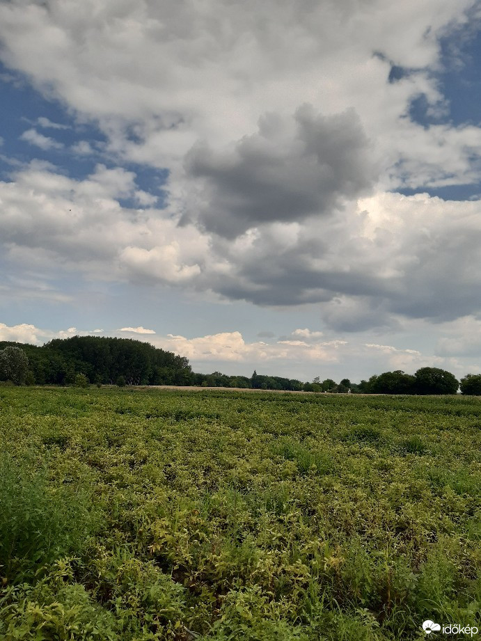 Felsőlajos