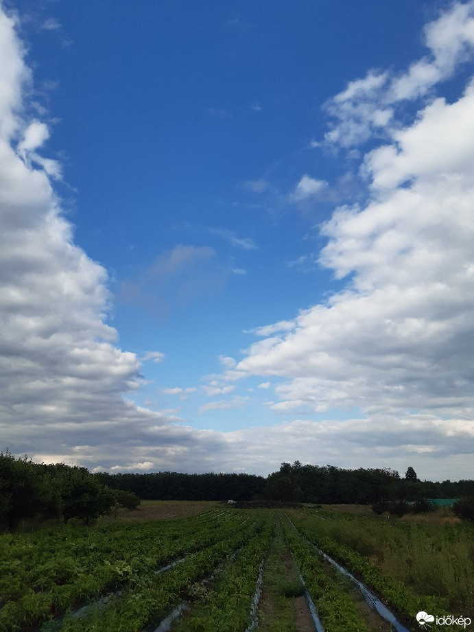 Felsőlajos