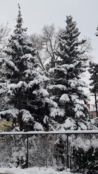 Budapest II.ker - Pasarét