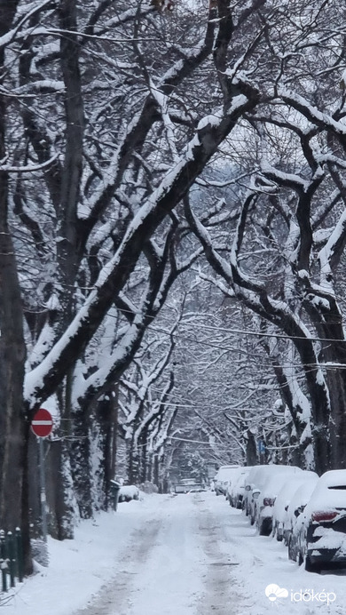 Budapest II.ker - Pasarét