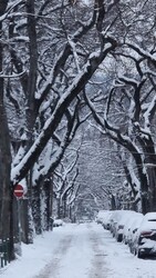 Budapest II.ker - Pasarét