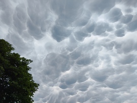 Mammatus