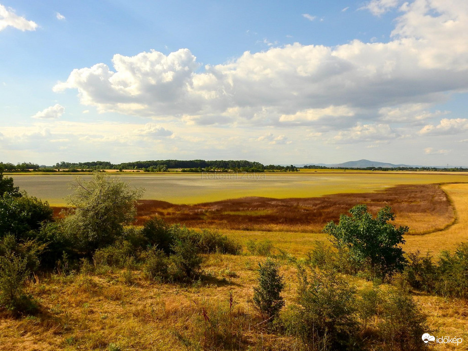 Kivirágzott a sziksó