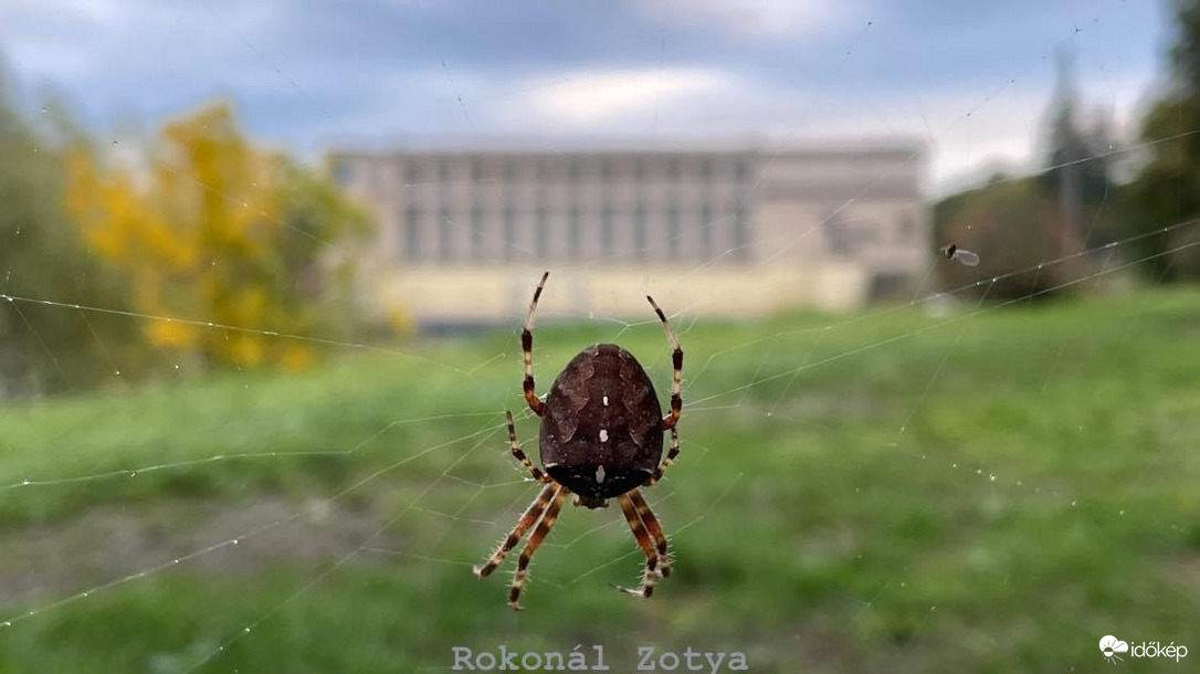 Pók Ica háttérben a tiszalöki Vízerőművel és a Zsuzsi-szoborral