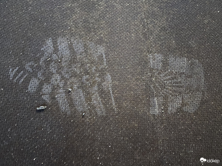 Természetes csillámpor