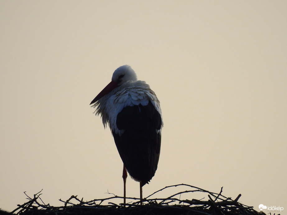 Tiszalökre is megérkezett tegnap