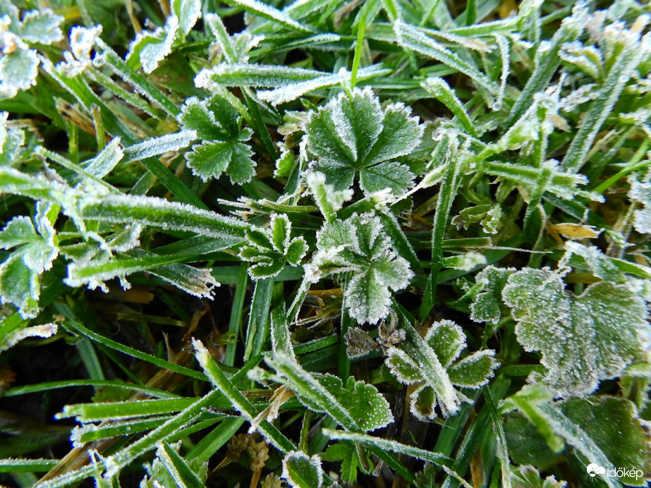 Első fagyos éjszaka 