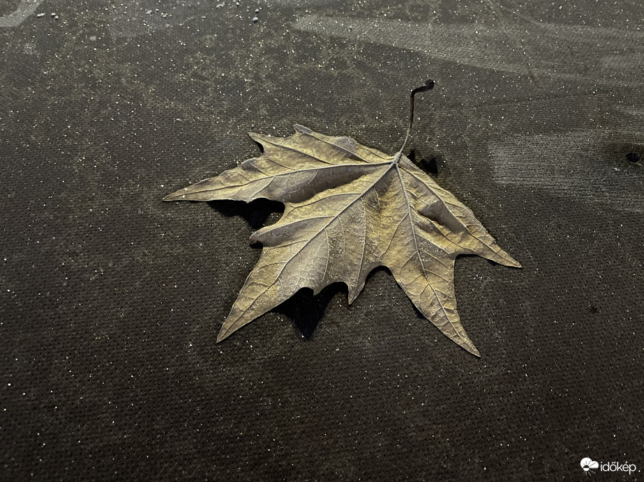 Természetes csillámpor