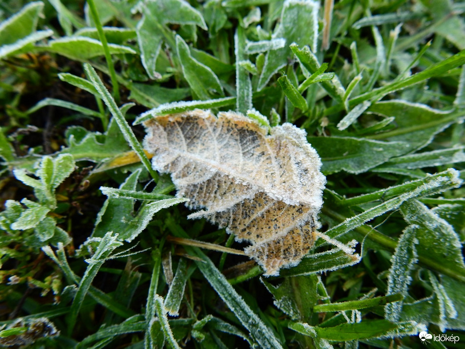 Első fagyos éjszaka 