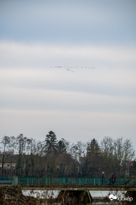 Tél végi daruvonulás, Tiszalök