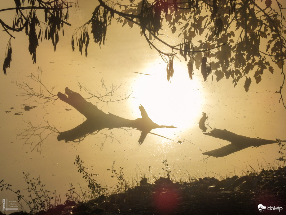 Ködös reggel a tiszalöki Kis-Tiszán