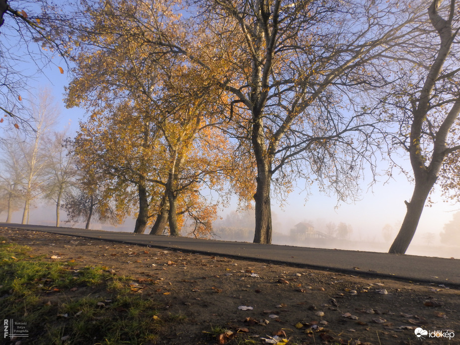 Ködös reggel a tiszalöki Kis-Tiszán