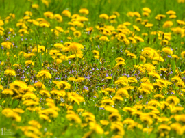 rzotya0327 fotója