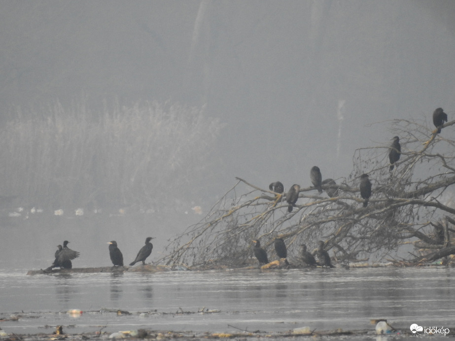 Áradás, jeges ár Tiszalöknél